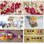 cmyk 4 color offset a2 digital uv flatbed printing machine price