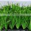 Customized 20mm-50mm outdoor football field synthetic grass carpet for playground