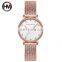 Hannah Martin 107 Luxury Diamond Quartz Watches for Women Simple Dial Waterproof Wrist Watch Women