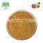 100% pure Guava Leaf Extract Guava Fruit Powder