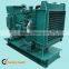 ISO14001 185KW magnetic diesel open power generator set with CE approval and global warranty