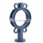 Ptfe Lined 10 Inch 6 Inch Threaded Manual Butterfly Valve