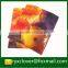 Factory derictly wholesale L shape a4 size file folder pp stationery