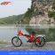 FJTDM09 20 inch cheap folding electric conversion bike kit