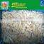 Chinese New Crop Frozen IQF Sliced Bamboo Shoot