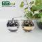 2015 Unique Gold Silver Apple Shape Cosmetic Plastic Jar With Magnetic Dipper