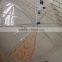 Cheap custom clear umbrella