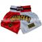 Factory price 100% polyester embroidered men's muay thai boxing shorts