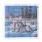 2015 New Arrival Hot Sale Needlework Full Drill 5d Diamond Embroidery Painting Cross Stitch Pictures Of Rhinestone AA061
