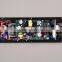 amplifier module