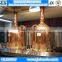 200L all grain beer brewing equipment,mini beer fermenting equipment