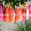 Colored Party Decorations Tissue Paper Tassel Garland Wholesale Paper Pom Poms