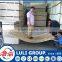 30mm osb for sale