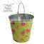 11 ltrs printed zinc galvanized bucket in polka dot rose