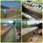 Efficient Paper Recycling Machine QS-4*8 Eight Rotary Egg Tray Machine
