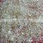 PET granule machine in recycled plastic