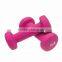 Vinyl Dumbbell