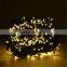 Hight quality popular Solar panel colorful christmas solar lights,solar christmas lights