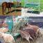 hot dip galvanized sheep hay feeder (factory)