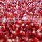 FROZEN FRUITS ( Strawberry - Mango - Pomegranate- Guava .....)