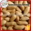 Red peanuts supplier
