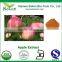 ISO GMP Factory Supply 70% Phloretin Green Apple Extract