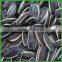 Sale Chinese Raw or Roasted Sunflower Seeds for Human Consumption