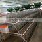 cage feeding system for chicken