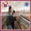 egg farms laguna