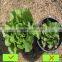 micro carbon calcium fulvic acid calcium & fulvate calcium organic fertilizer