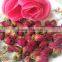 dried rose tea rose bud tea high quality