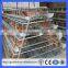 A type poultry cages for hens with egg collection machine steel layer cages(Guangzhou Factory)
