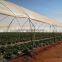 RoughBrothers Tunnel-600 Single Span low cost Agricultural tunnel greenhouse