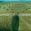 UV treated dark green silage bale net wrap