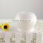 Gifts and crafts ceramic storage containers mason jars mini pot
