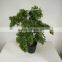 mini bonsai sall bonsai artificial tree bonsai