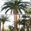 Artificial Decorative Painting Palm Tree Bark