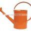 2016 Modern Hand-painting Garden Watering Can
