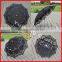 Popular Floral Lace Parasol in Vintage Style