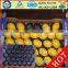 39*59 cm Plastic PP Apple Fruit Tray for Alveolar
