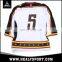 Custom New Season Toronto Burlington Eagles hockey team jersey