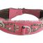 Customized leather Pet Training Dog Collar and Leashes