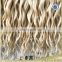 Cheap hair extensions 6A grade beautiful color 613 color natural blonde curly human hair extensions