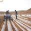 Eco- Friendly Best Price Plastic Film for Agriculture