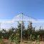 plants protection hail apple tree  anti hail mesh for agriculture greenhouse