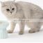 Ceramic High Bowl Pet Bowl Feeder Cats and Dogs Water Bowl Pet Supplies