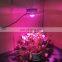 cob led grow light 300W Phyto lamp  growth full spectrum plant lighting for Indoor greenhouse  plant