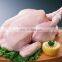 Industrial Chicken Feather Removal Machine / Duck peeling Equipment / Turkey hair removing Machine