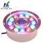High reputation LED fountain ring light stainless steel waterproof LED underwater fountain light diving fountain LED light