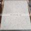 Polished Fossil Beige Marble Tiles and Slabs